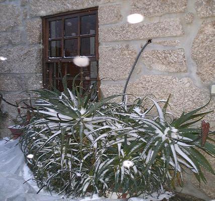 Casa Das Lages Alvoco da Serra Luaran gambar